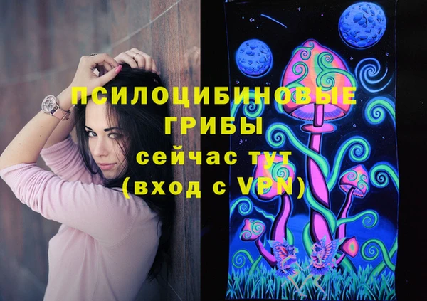 гашик Алзамай